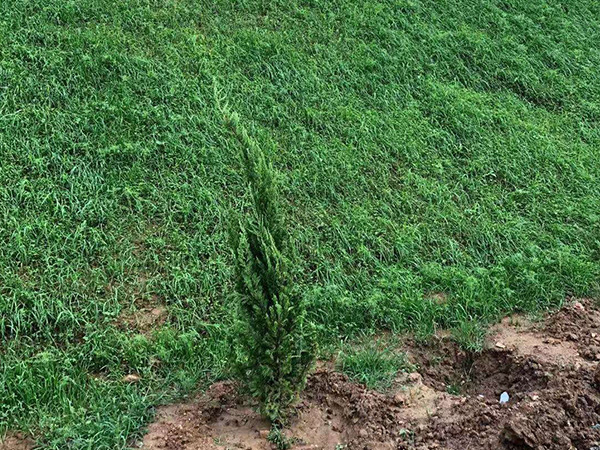 生態袋每平米造價